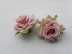 květ růže misty rose