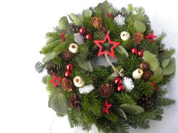 přírodní dočervena