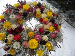 se slaměnkami  ... věneček