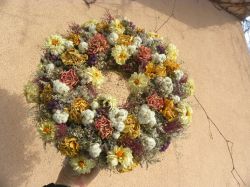 věneček ... něžný