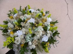 romantik dozelenkava