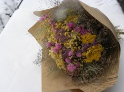 velká kytka dorůžova