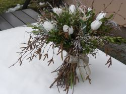 březová kytky s tulipány