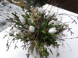 březová kytky s tulipány