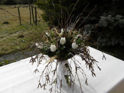 březová kytka s tulipány