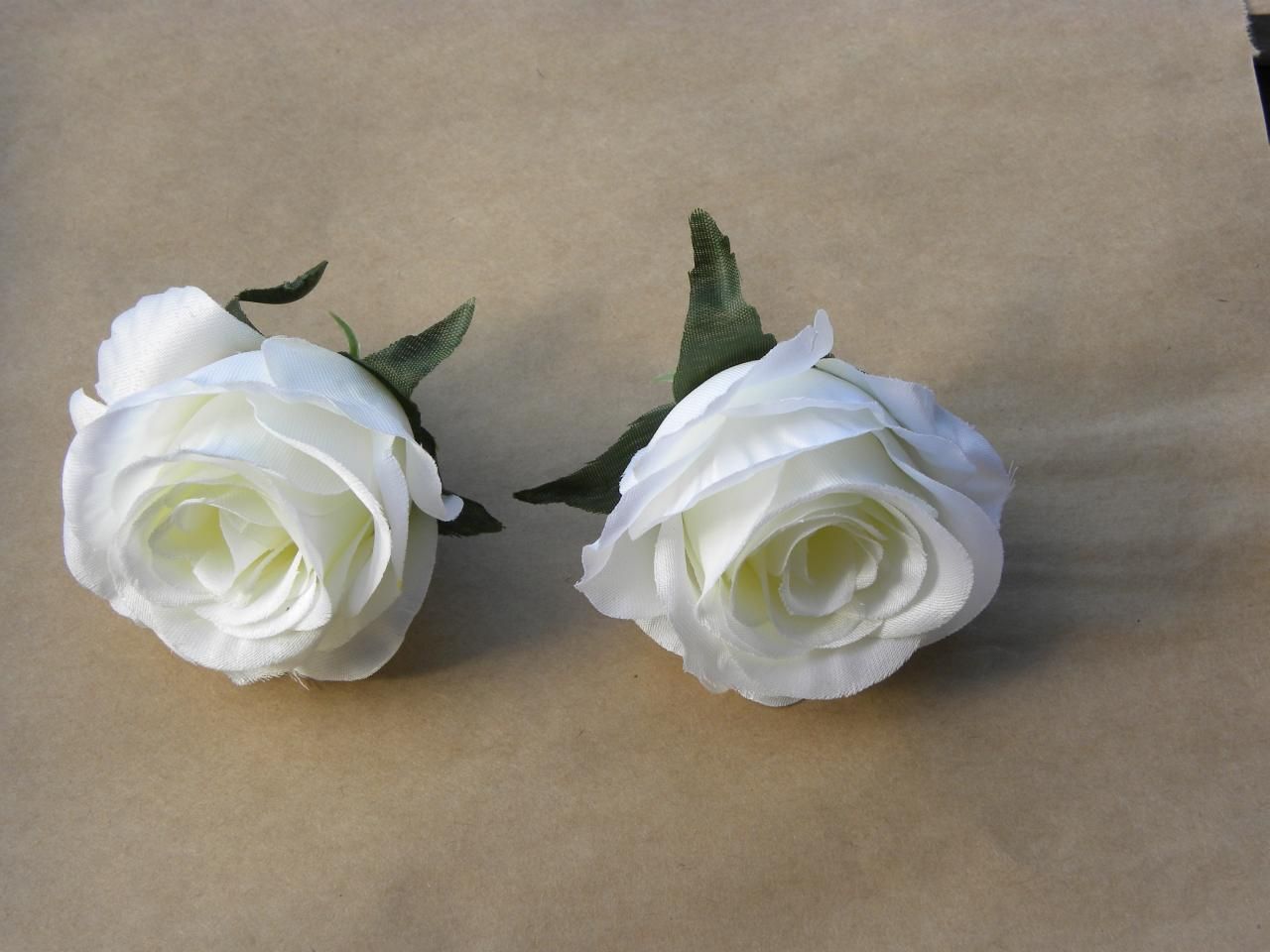 růže květ bílý