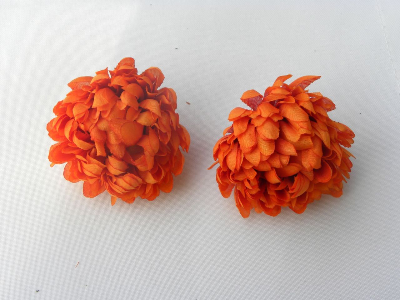 chryzantéma květ oranžová