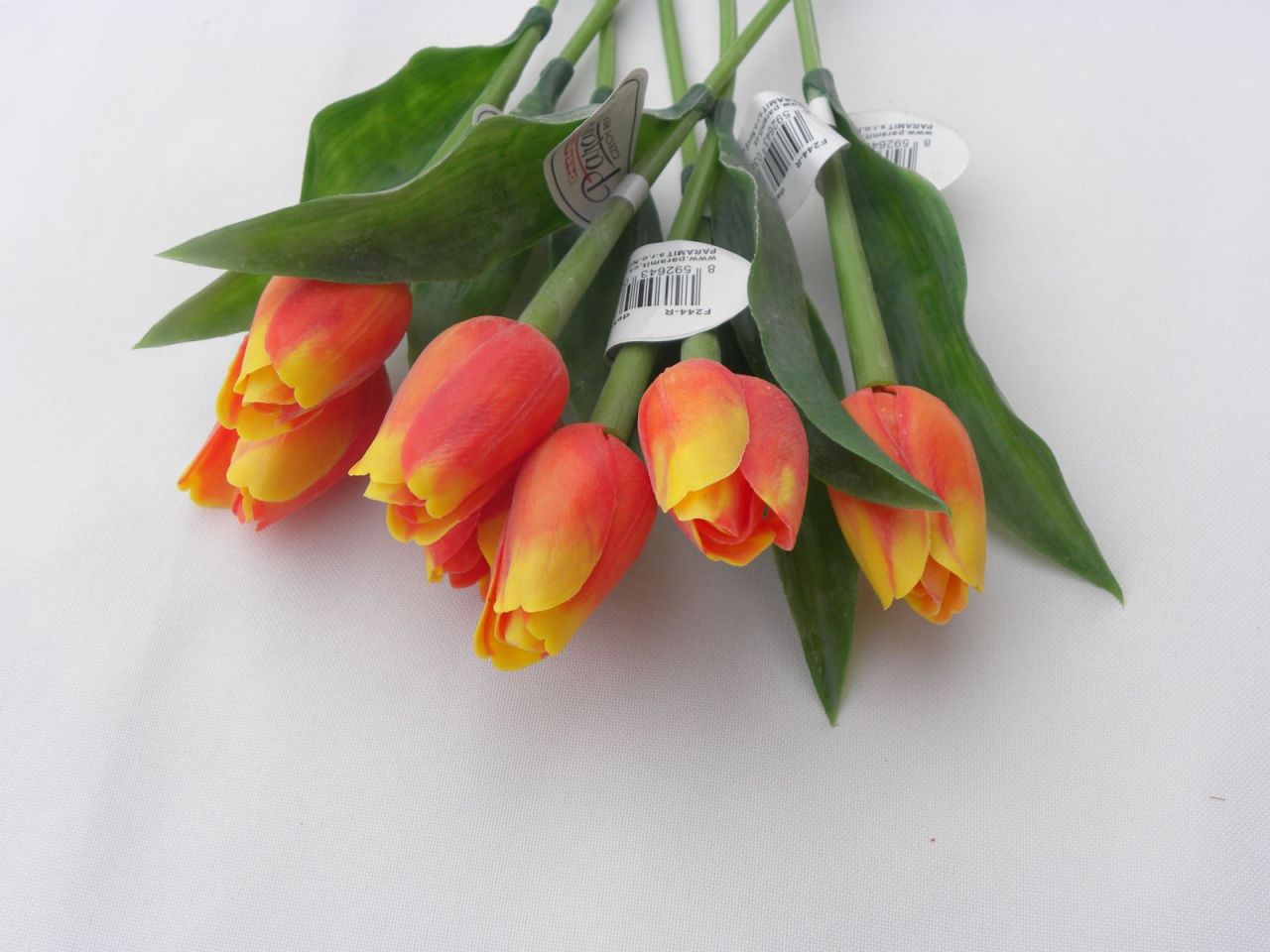 tulipán žlutooranžový