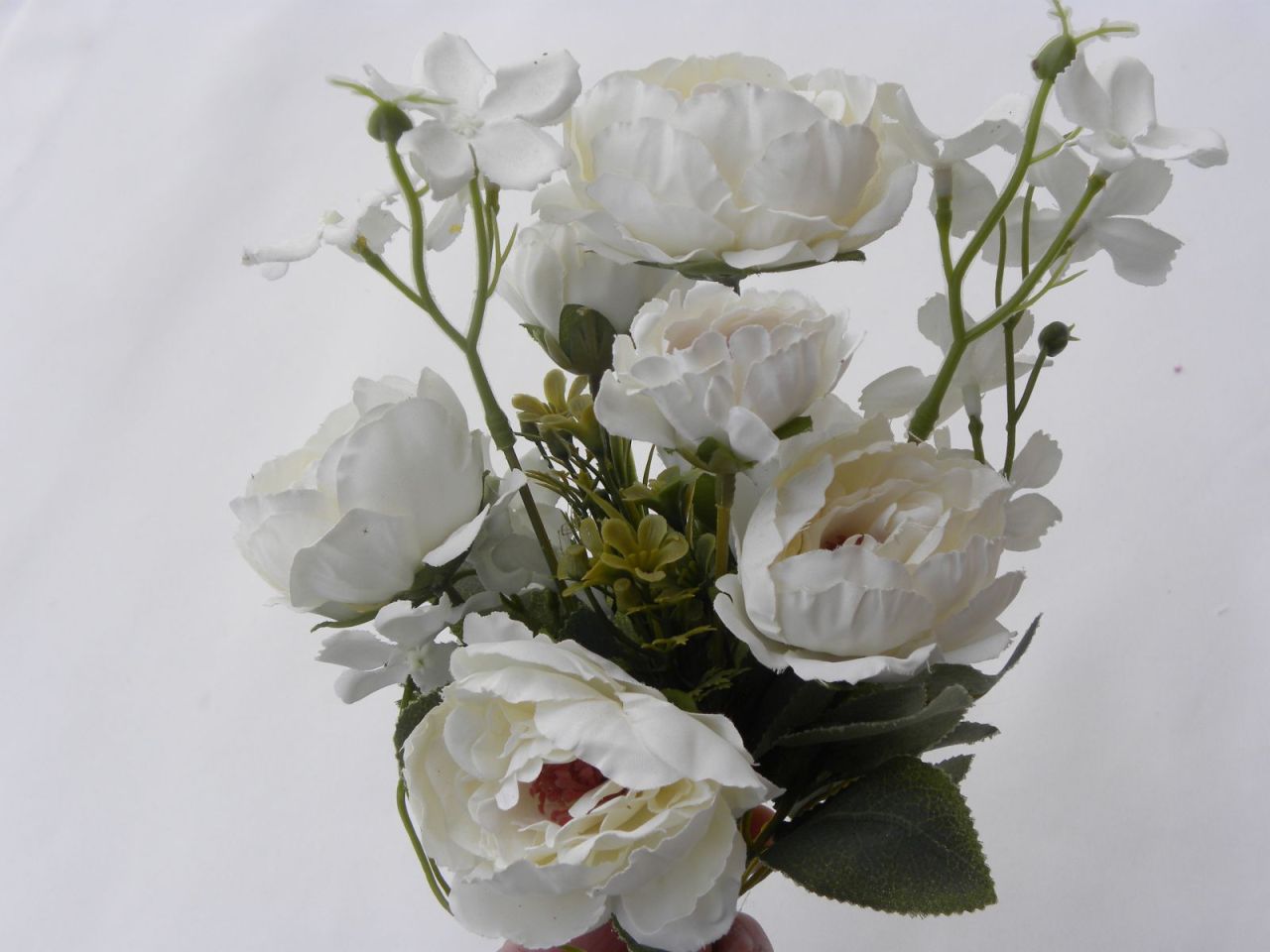 kytka růží bílá