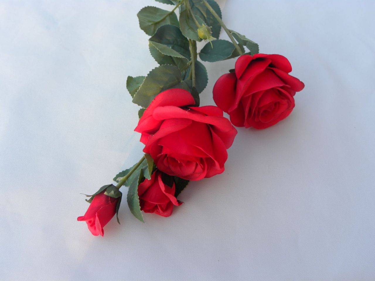 růže dlouhá červená posl. 1 ks skladem