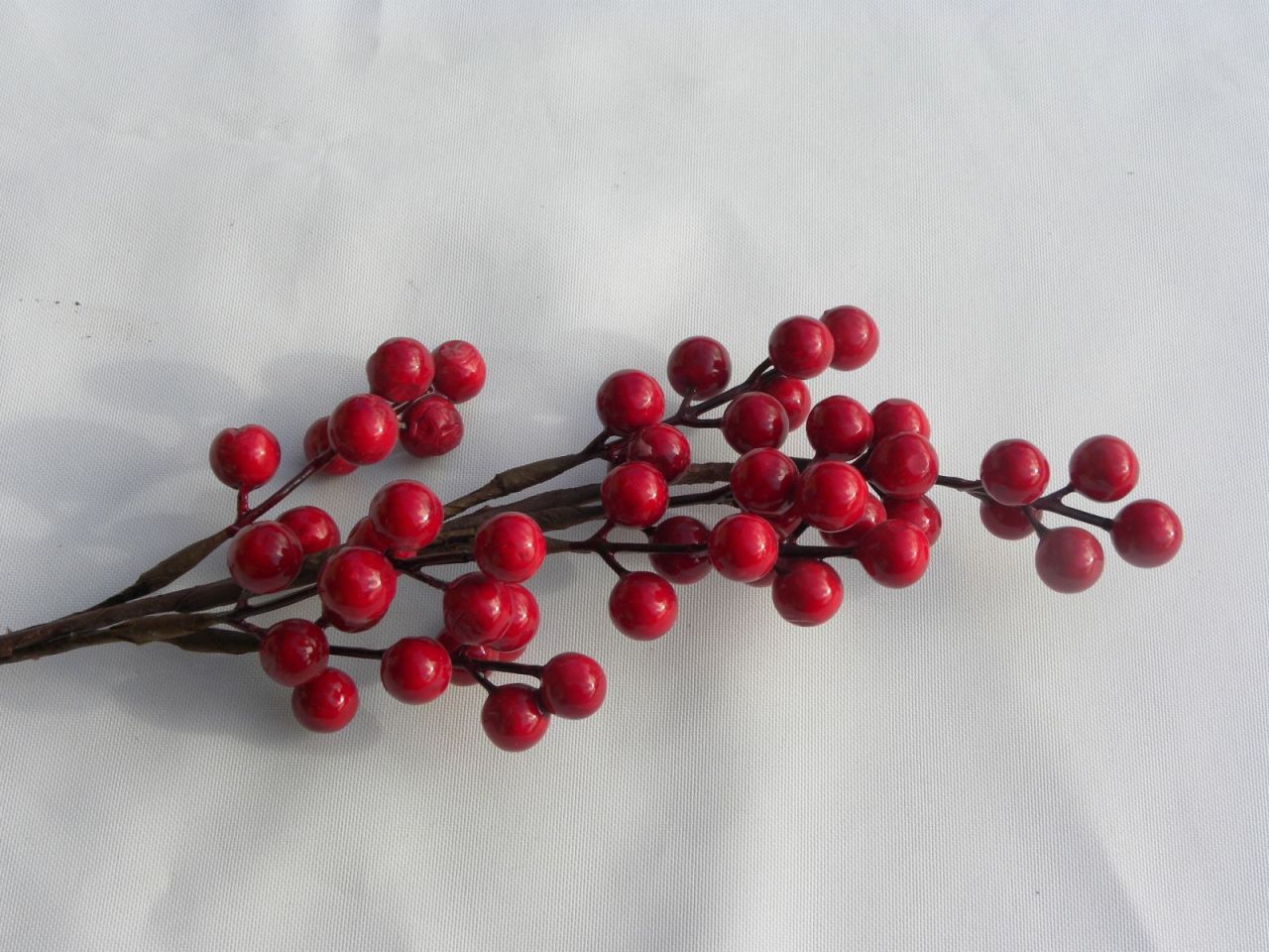 větev červených bobulí
