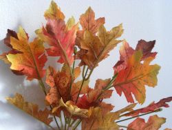 větvička podzim trs