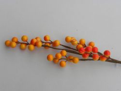větev oranžových bobulí