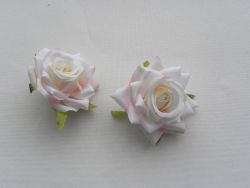 květ růže bílá s růžovou