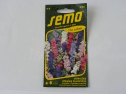 ostrožka letní - semínka