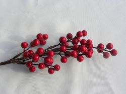 větev červených bobulí