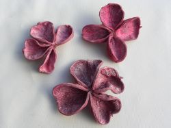 land lotus růžový s frost efektem